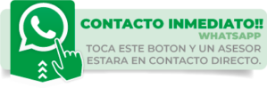 contacto directo whatsapp