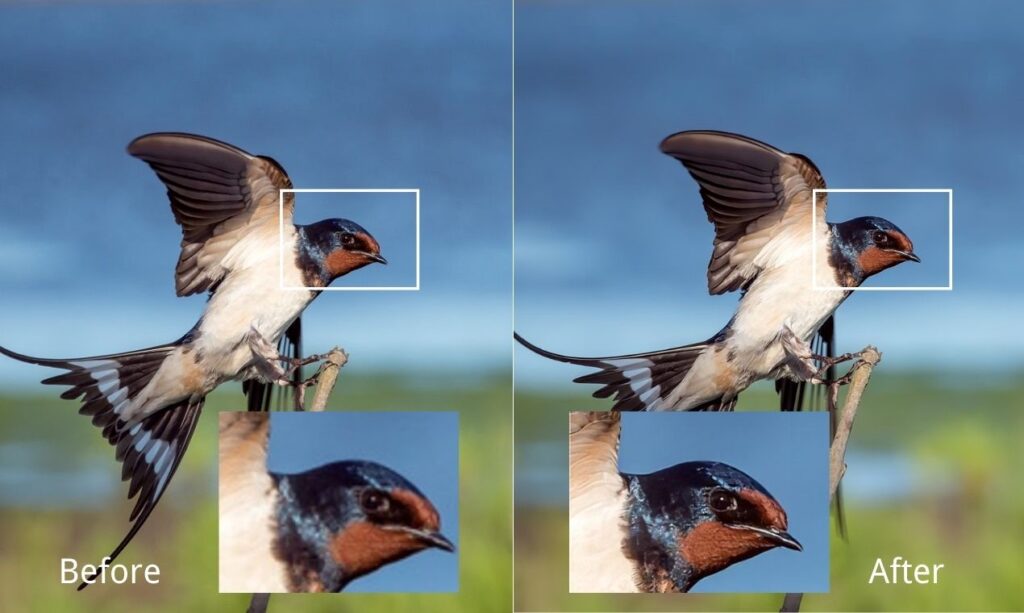Imagen Upscaler se vale de la Inteligencia Artificial para ampliar imágenes a la perfección