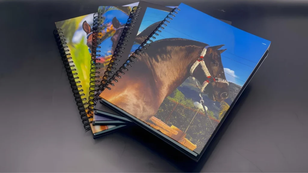 Cuadernos personalizados medellin, la pandora